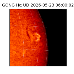 gong - 2026-05-23T06:00:02