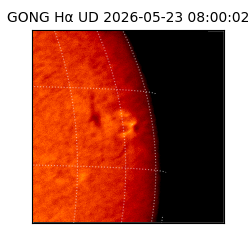 gong - 2026-05-23T08:00:02