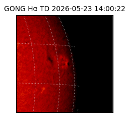 gong - 2026-05-23T14:00:22