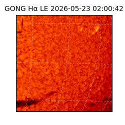 gong - 2026-05-23T02:00:42