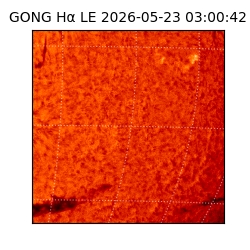 gong - 2026-05-23T03:00:42