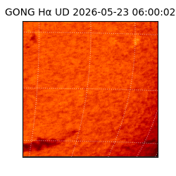 gong - 2026-05-23T06:00:02