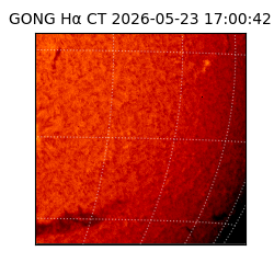 gong - 2026-05-23T17:00:42