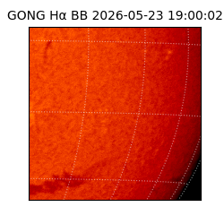 gong - 2026-05-23T19:00:02