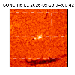 gong - 2026-05-23T04:00:42