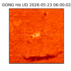 gong - 2026-05-23T06:00:02
