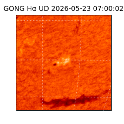 gong - 2026-05-23T07:00:02