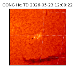 gong - 2026-05-23T12:00:22