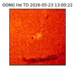 gong - 2026-05-23T13:00:22