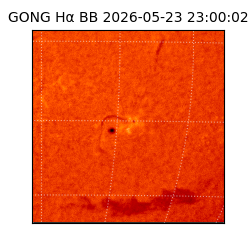 gong - 2026-05-23T23:00:02