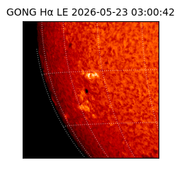 gong - 2026-05-23T03:00:42