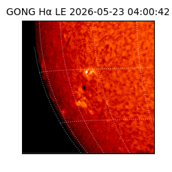 gong - 2026-05-23T04:00:42