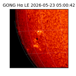 gong - 2026-05-23T05:00:42