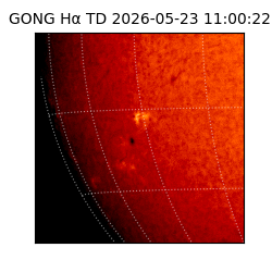 gong - 2026-05-23T11:00:22