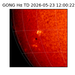gong - 2026-05-23T12:00:22