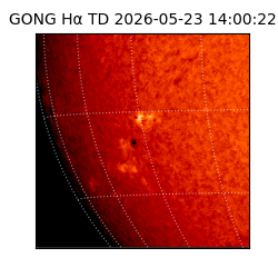 gong - 2026-05-23T14:00:22