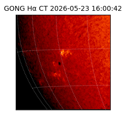 gong - 2026-05-23T16:00:42