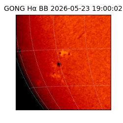 gong - 2026-05-23T19:00:02