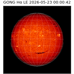 gong - 2026-05-23T00:00:42