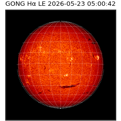 gong - 2026-05-23T05:00:42