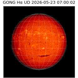 gong - 2026-05-23T07:00:02