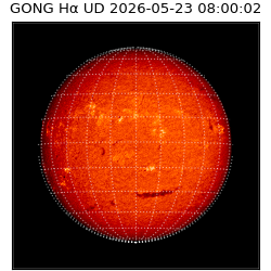 gong - 2026-05-23T08:00:02