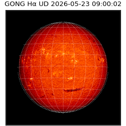 gong - 2026-05-23T09:00:02