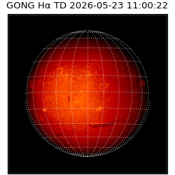 gong - 2026-05-23T11:00:22