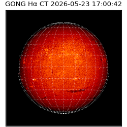gong - 2026-05-23T17:00:42