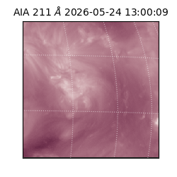 saia - 2026-05-24T13:00:09.623000