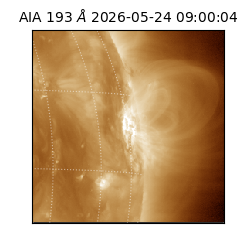 saia - 2026-05-24T09:00:04.842000