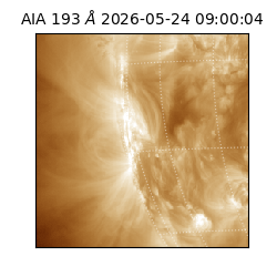 saia - 2026-05-24T09:00:04.842000