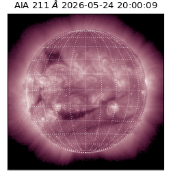 saia - 2026-05-24T20:00:09.623000