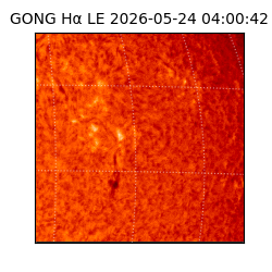 gong - 2026-05-24T04:00:42