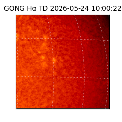 gong - 2026-05-24T10:00:22