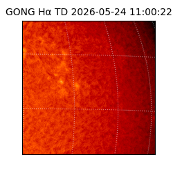 gong - 2026-05-24T11:00:22