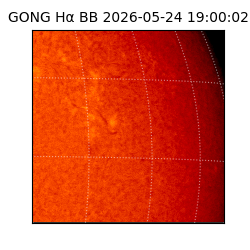 gong - 2026-05-24T19:00:02