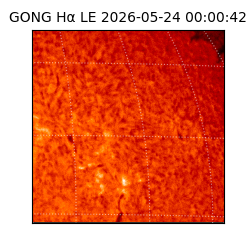 gong - 2026-05-24T00:00:42