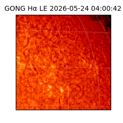gong - 2026-05-24T04:00:42