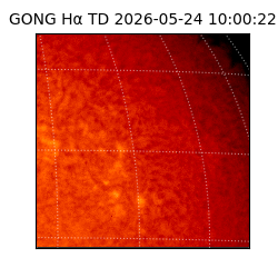 gong - 2026-05-24T10:00:22