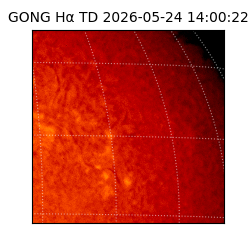 gong - 2026-05-24T14:00:22