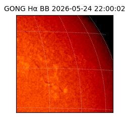 gong - 2026-05-24T22:00:02
