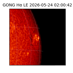 gong - 2026-05-24T02:00:42