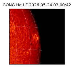gong - 2026-05-24T03:00:42