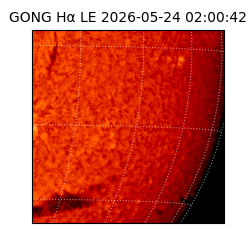 gong - 2026-05-24T02:00:42