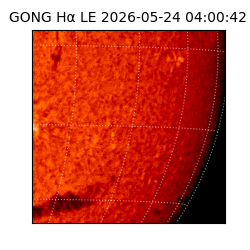 gong - 2026-05-24T04:00:42