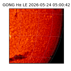 gong - 2026-05-24T05:00:42