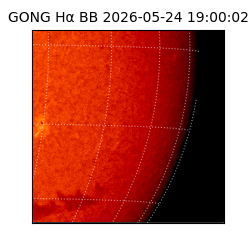 gong - 2026-05-24T19:00:02