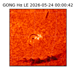 gong - 2026-05-24T00:00:42