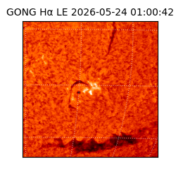 gong - 2026-05-24T01:00:42